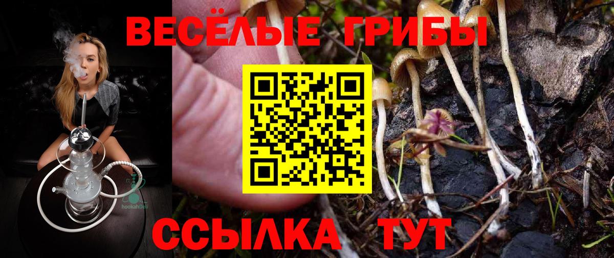 Галлюциногенные грибы ЛСД Кимры